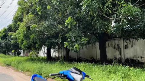 💙🤍#lc135 #lc135malaysia #xuhuong #tqm_2808 