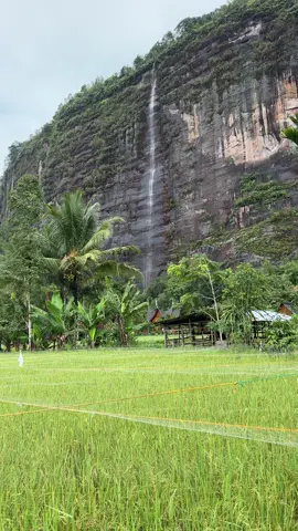 Air terjun tertinggi di lembah harau dari dekat #fyp #lembahharau 