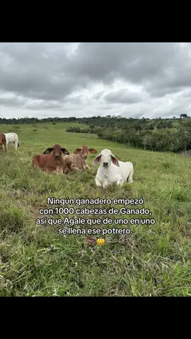 📿🤠 ig:DidierDuarte_ #LIVEIncentiveProgram #LIVEMonetization #PaidPartnership 