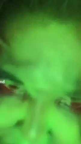 #pitbullthelegend #mavandgoose2023 #witchesoftiktok #witch #fyp 