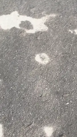 Candu gtw knp ni sound #kzrgank #kzrperformance 