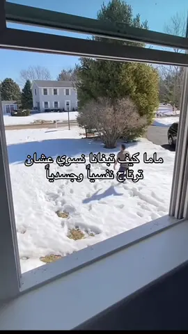 اسف ماما بس وربي انتي جي 😭😭😭😭