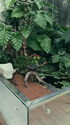 Góc nhỏ chill Chill 🌿#TIEMNHAMON #subin #thietkethicongtuongla #vypシ #kiengla #rayvar #xuhuong #thietkethicongtuongla #kiengla 