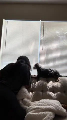 The perfect duo and the nosiest neighbors 😂🥹 #dogmom #dogmomchronicles #fyp #creatorsearchinsights #nexttome 