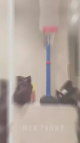 Funny 😂😂 #viral #foryou #funnyvideo #fypシ #funnyvideos #viralvideo #funnysituations 