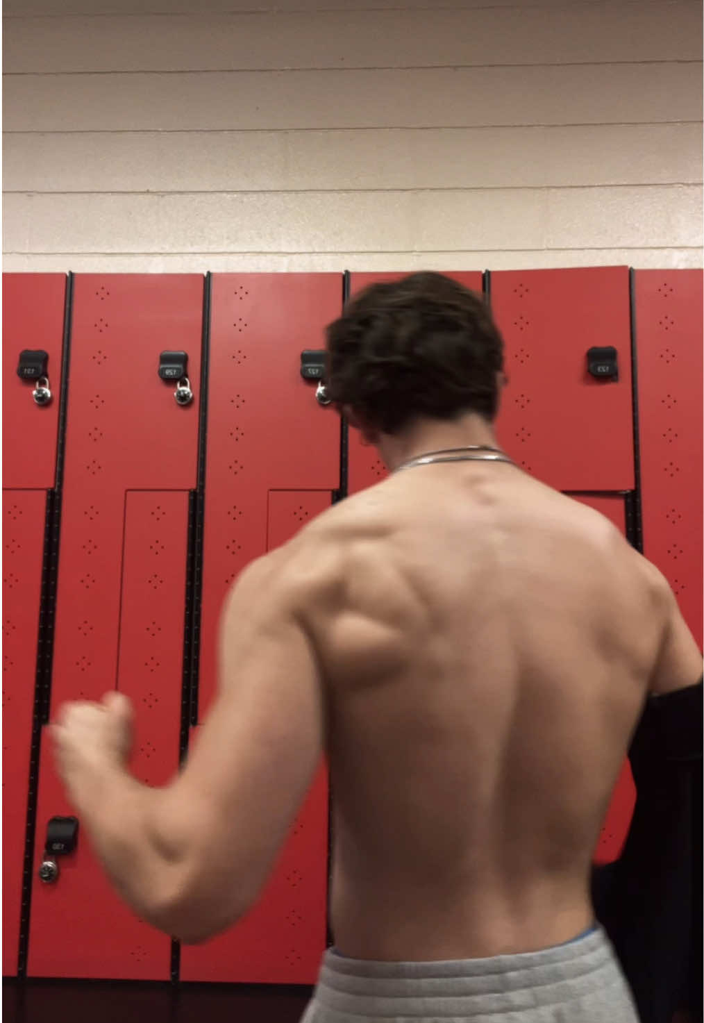 Back muscles 