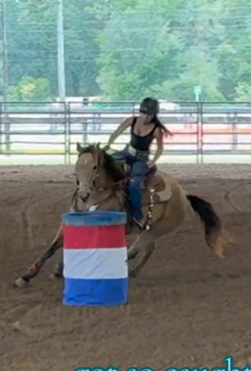 incredibly grateful for my sugar girl. #quarterhorse #buckskin #fypシ #barrelracer #aqha  