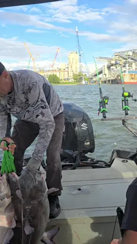 Good times in the awesome SeaArk EasyCat! #SeaArkBoats #boatsbuiltforlife #catchthefever #