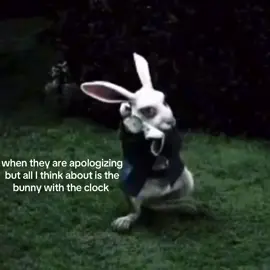 “all roads lead to Rome” #timing #fypシ゚viral #bunny #nthisforeva