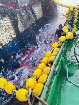 #monastir🇹🇳 #tebolba🇹🇳 #ناصر #Mo1577 #شعب_الصيني_ماله_حل😂😂 