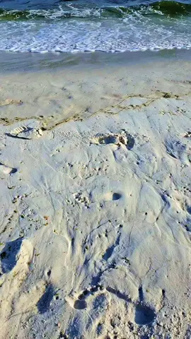 #cardib #fyp #aicoversongs  #viral 