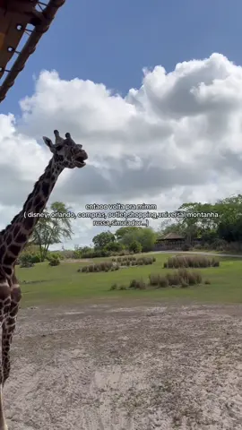 #foryoupage #fyp #fy #compras #orlando 