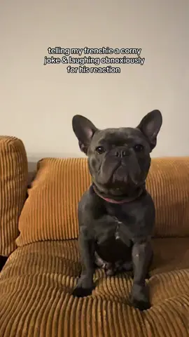 I knew he would freak out cause he's a nutball 