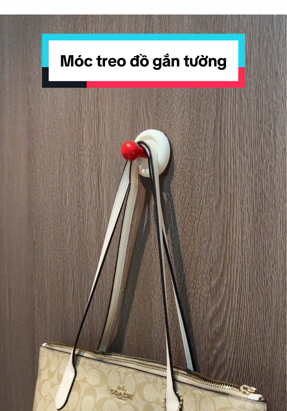 Móc treo đồ cốc hút gắn tường  #moctreo #moctreocochut #moctreogantuong #thao2mai 