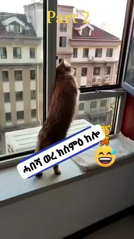 #Eretrian #🇪🇷🇪🇷🇪🇷🇪🇷🇪🇷💚❤💛💙 #habeshatigraytiktok🇻🇳🇻🇳tigraytiktoketh #viral 