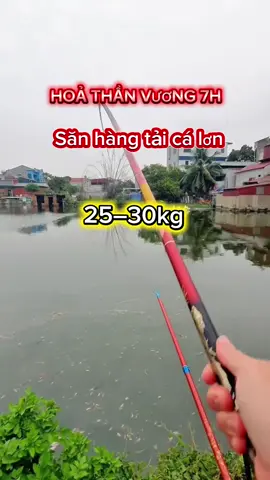 Cần câu đài đánh dk cả lục. Tải cá đến 25 30kg. Cần câu HOẢ THẦN VƯƠNG.!#caudai #câucá #câucagiaitri #cancauca #vuivemoingay❤️  @Đức Đồ Câu Fishing 