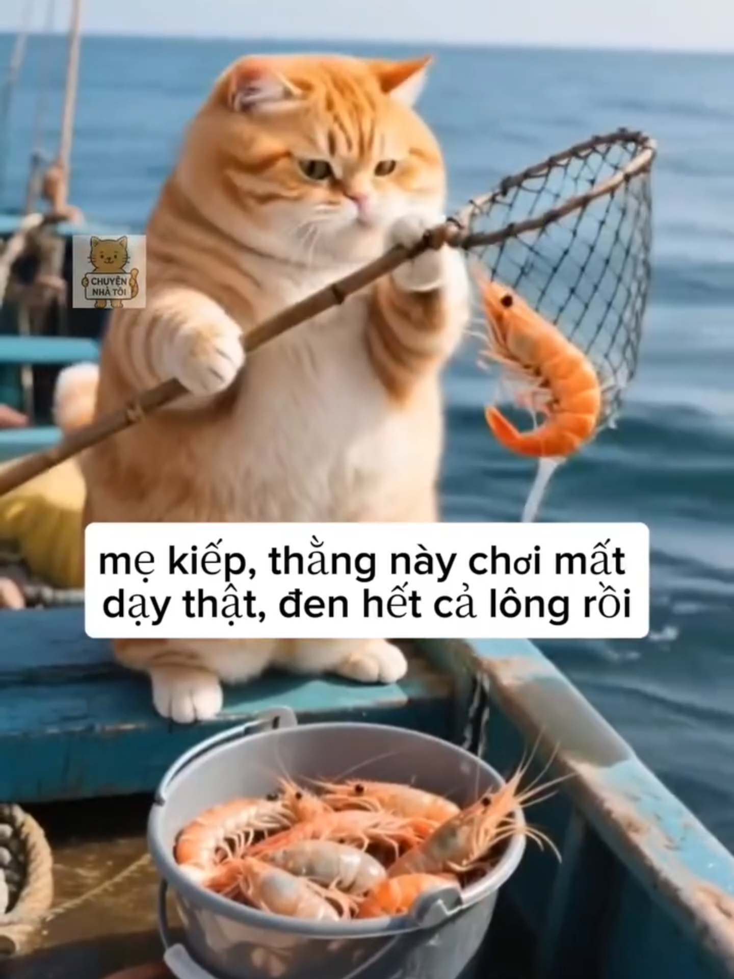 Nay em Mèo bị thằng Bạch Tuộc đổ xô mực vào người và cái kết... #meocam #meohay #meoAI #chuyennhatoi #giaitri