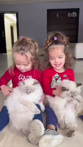 حلالكم بفولو ولايك #اشواق_الافضل #ابداع_اشواق_الافضل #جيش_اشواق_الافضل 