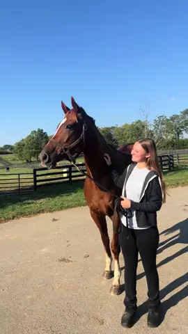 welcome to the fam chunky girl!! Lady Panda aka panda🐼 my hopefully future eventer! 
