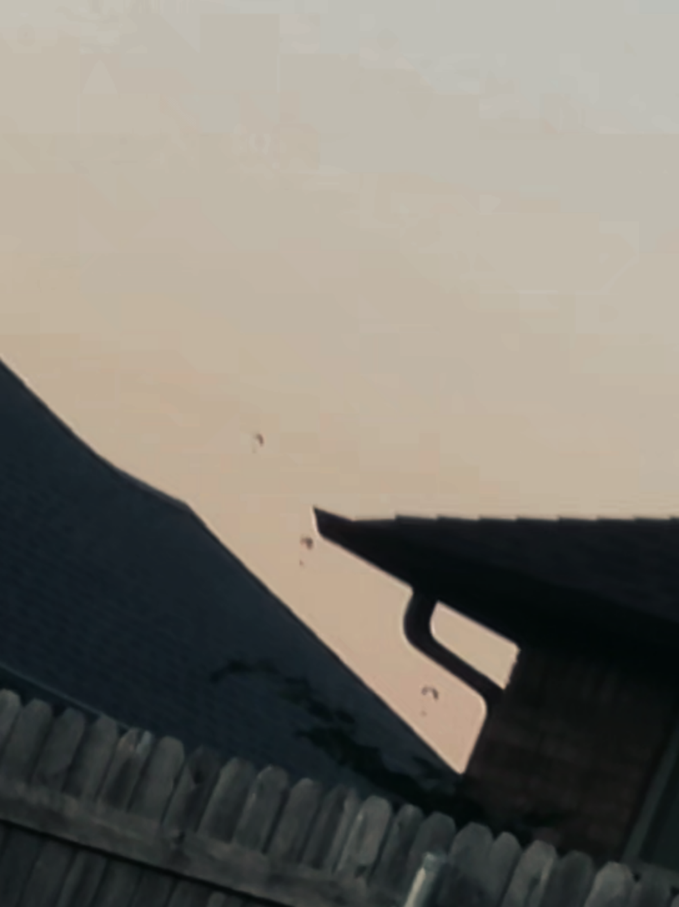 #fyp #rust #rustgame #rustclips #gaming 