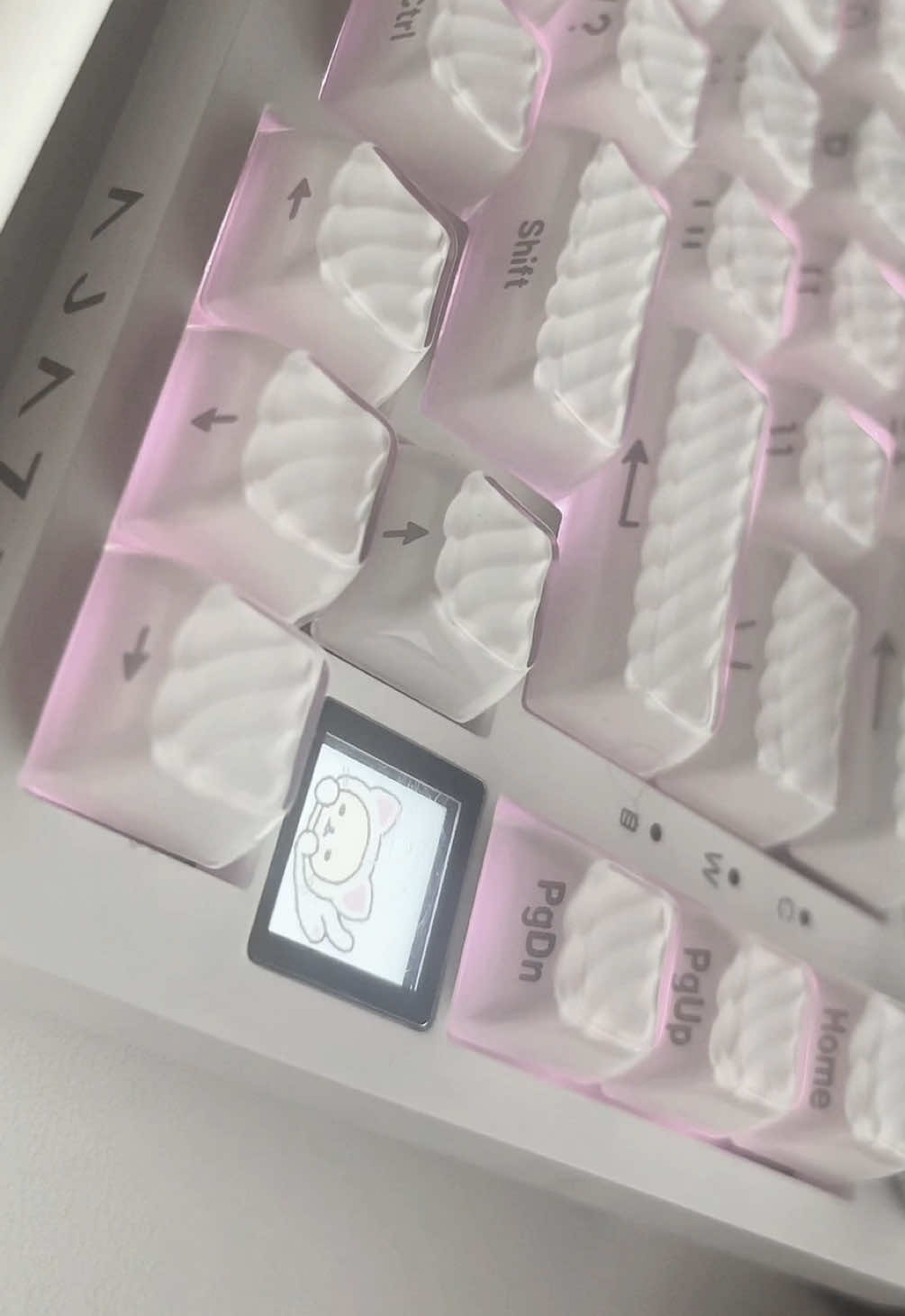 Love these keycaps 🥹 #cutecore🎀🦴🍮🐾 #kawaii #GamerGirl #korilakkuma #setupgaming 