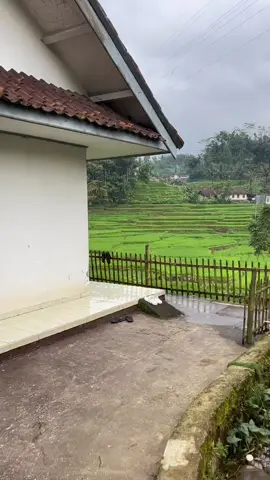 🍃🍃.. #sunda #tanahsunda #desa #nuansaalam #cianjur 