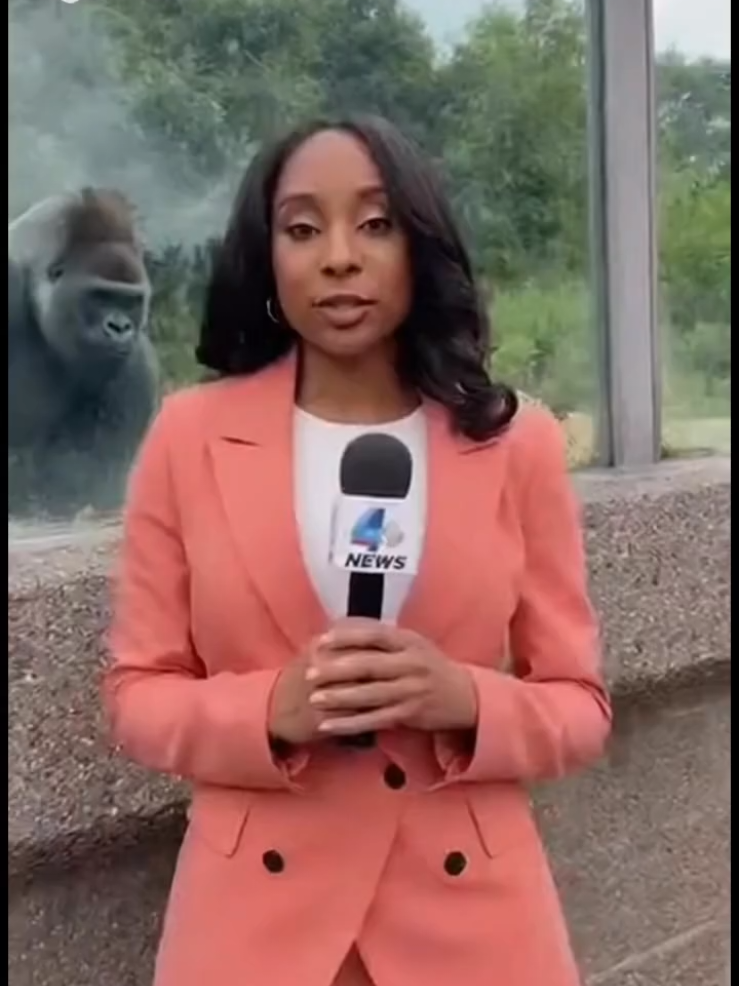 #glorilla #zoo #epicfailsofunny #epicfails #toofunny 