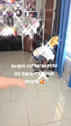 #punta #bailar #sacaelestres #sefeliz 🫣😊😉🥰😍