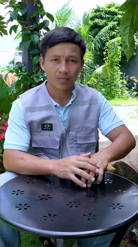 mua cái này tiện nè. #binhvuameo #denled #denledsieusang #dencamtrai #densieusang 
