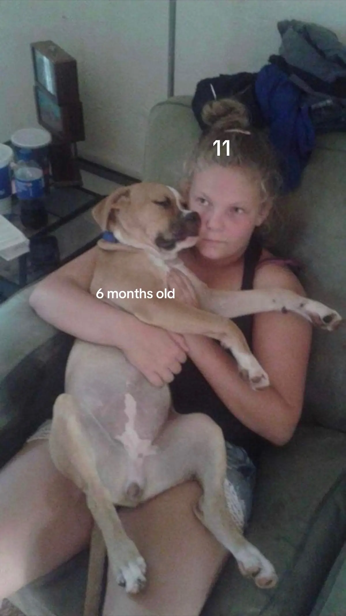 crying my ass off my sweeet little baby 😭😭😭😭 #fyp #trending #dogsoftiktok 