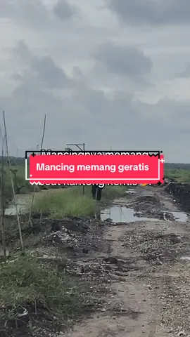 Mancingnya memang geratis#mancing #mancingmania #foryoupage #fypage #fyp 