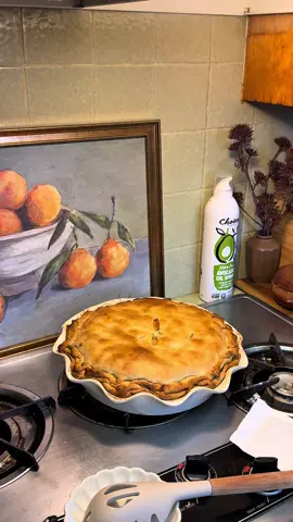 🥧 Cozy Chicken Pot Pie — Family Favorite Edition Warm, buttery, creamy, and packed with flavor 🤍 Perfect for busy nights when you need comfort on the table! Ingredients: 🧈 1 stick butter (melted) 🥕 2 celery sticks, 2 carrots, 1 diced onion 🧄 1 tbsp garlic (minced) 🌾 ¼ cup flour 🍗 3 cups rotisserie chicken 🌽 ½ bag corn 🫛 ½ bag peas 🍶 2 cups chicken broth 🥛 1 cup heavy cream 🧂 Garlic powder, onion powder, Italian seasoning, paprika Directions: 1️⃣ Melt butter & sauté veggies till soft 2️⃣ Stir in flour, then slowly add broth & cream 3️⃣ Mix in chicken, corn, peas + seasonings 4️⃣ Pour into buttered pie crust, top with another crust 5️⃣ Brush with melted butter 6️⃣ Bake at 350°F for 45–50 min until golden brown ✨ Serve & enjoy! Tag me if you make it 🤍  #motherhood #relatablemom #chickenpotpie #easydinnerideas #comfortfood @pillsburybaking @Chosen Foods @target @Walmart @Spice World Inc 