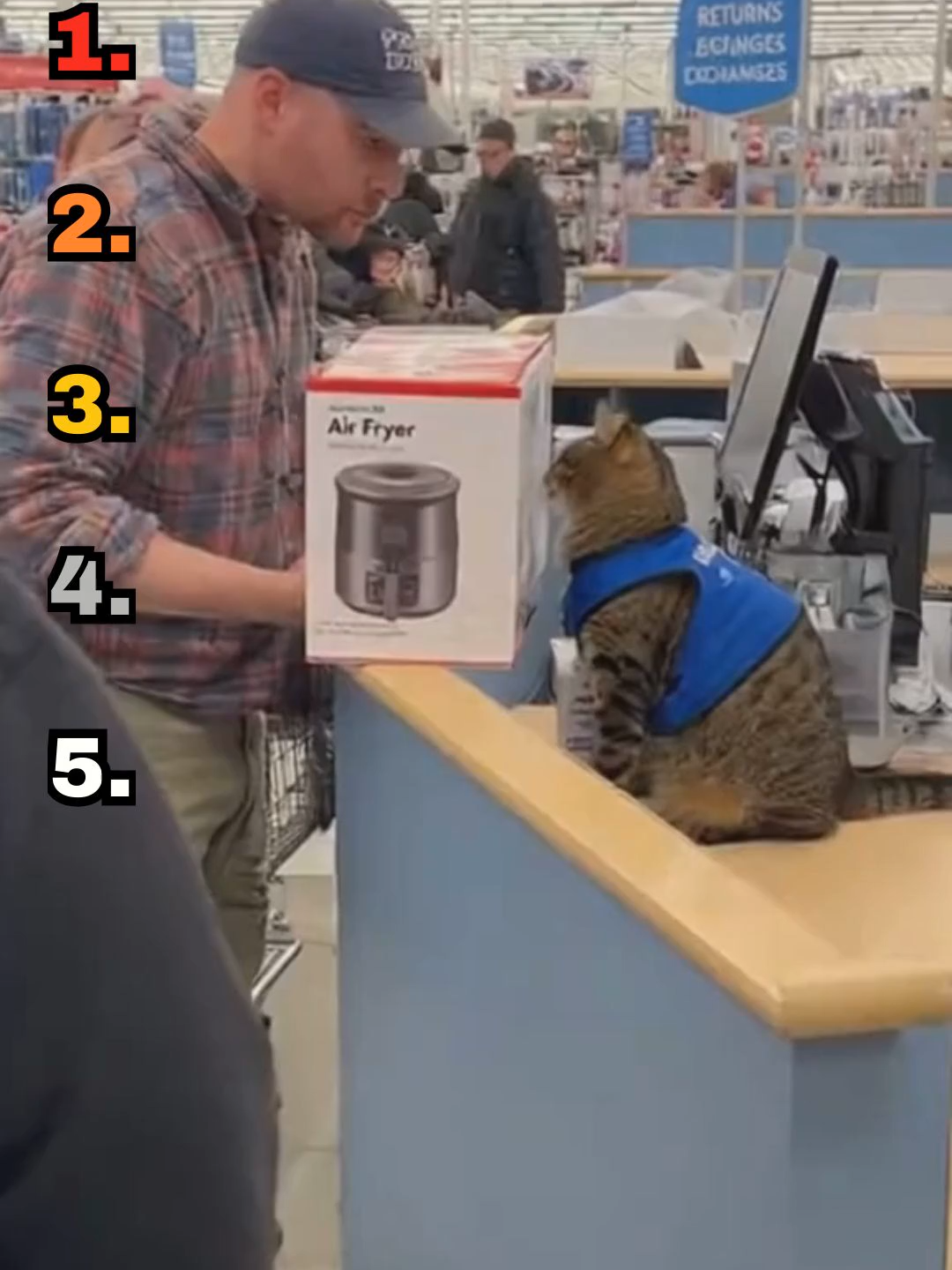 Ranking the funniest Ai cat videos pt2#ai #notreal #sora #cat