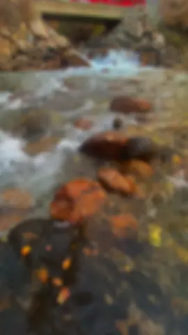 #осень #любимая #шымкент #природа 