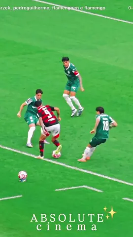 Pedro foi a pura magia contra o Palmeiras. Jogadas de quem entende e merece chance na seleção brasileira. #pedro #flamengo #palmeiras 
