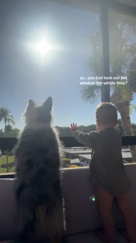 teachin em young 🤪 #toddler #dogsoftiktok #dogtok #toddlertok #Siblings 