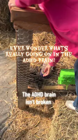 Inside the ADHD brain, neurons fire faster— but communication lags. It’s why your child can hyper focus on Legos but forget their shoes 30 seconds later.  Functional imaging is known to shows underactive prefrontal cortex activity and delayed dopamine recycling.  Like when you’re trying to load something, and your Wi-Fi begins to buffer mid download. The goal isn’t “fixing”— it’s optimizing the signal through nutrition, movement, and antioxidant repair. Once you see how their brain works, you realize you have to stop fighting it, and start working with it. 💭Comment “BRAIN FLOW” FOR my Brain Noise to Brain Calm mini guide.