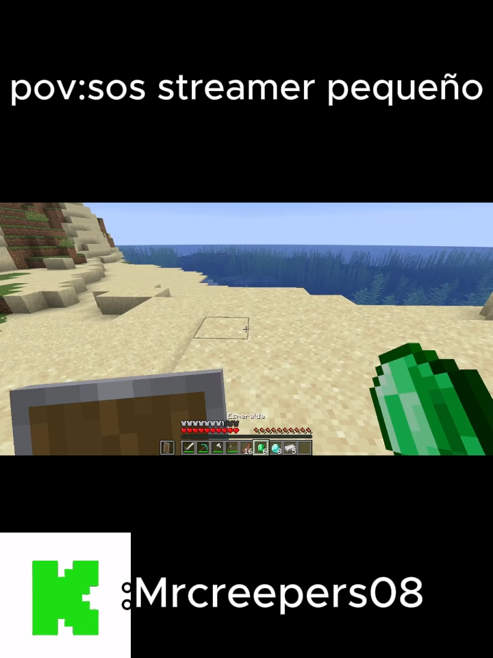 pov:sos streamer pequeño #Minecraft #streamer #stream #kick #meme #horadeaventura