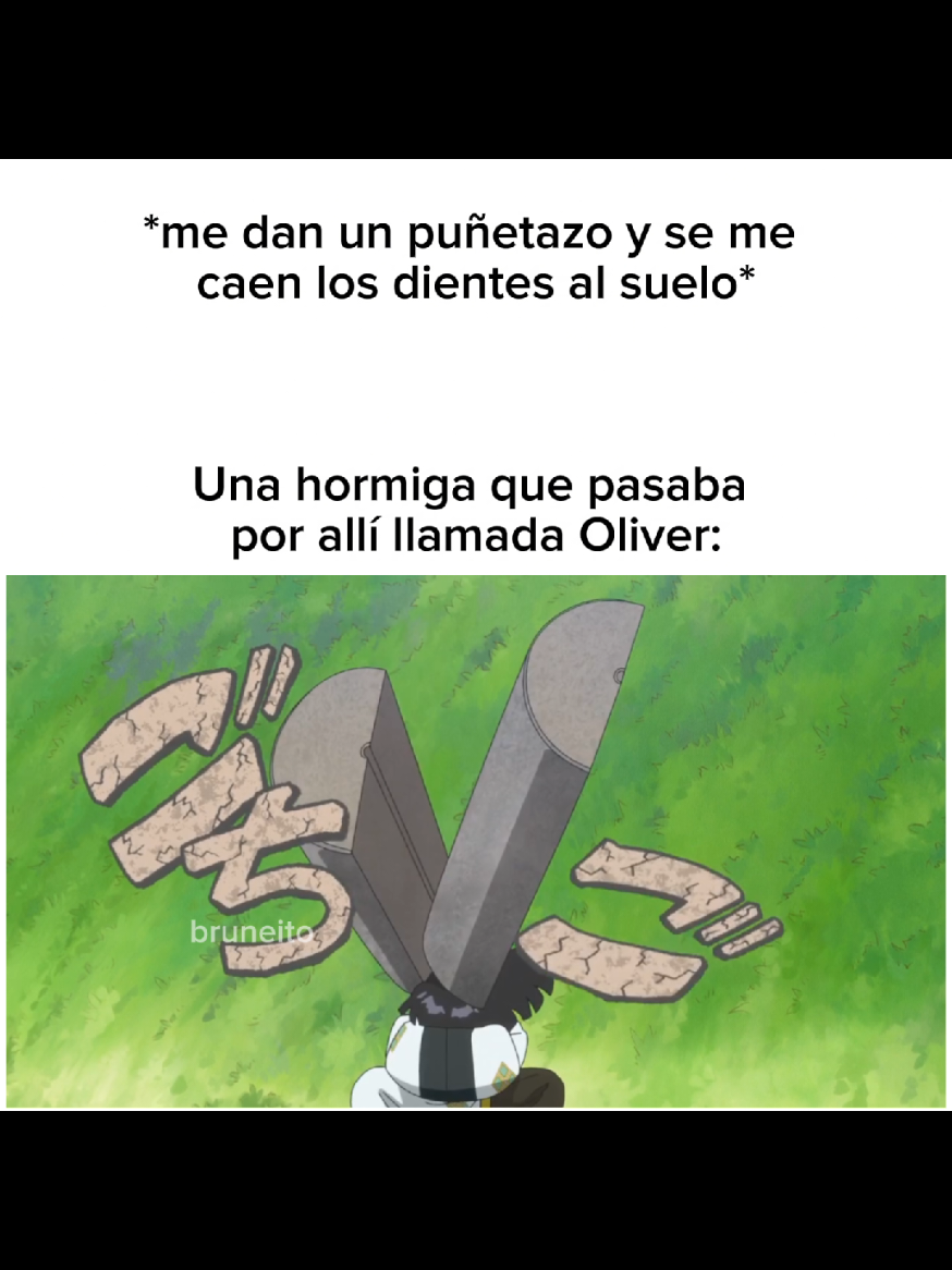 #ranma #viral #parati #animememe #bruneito 