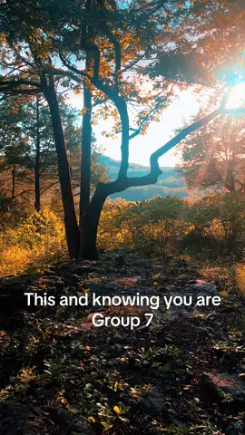 It chose me ✨ who else was chosen? #group7 #chosen #fyp