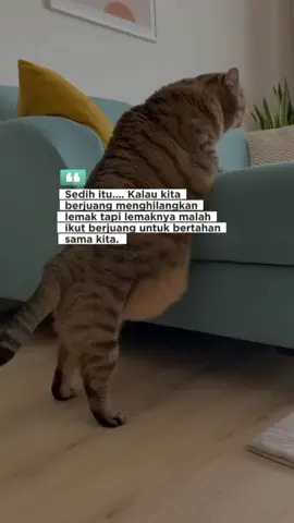 #CapCut pasrah aja dah.  #storygabut #katakata #lewatberanda 