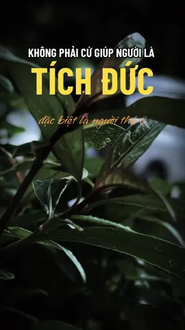 Nghe hết bạn sẽ thay đổi từ đây #ngộ_để_an #phatphapnhiemmau #cliptrieuview #trending #xuhuongtiktok 