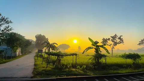 সকালের প্রকৃতির রুপ যা দেখতে অপরুপ সুন্দর॥ #প্রকৃতির #foryou #প্রকৃতিরঅপরূপসৌন্দর #viralvideo #viral 