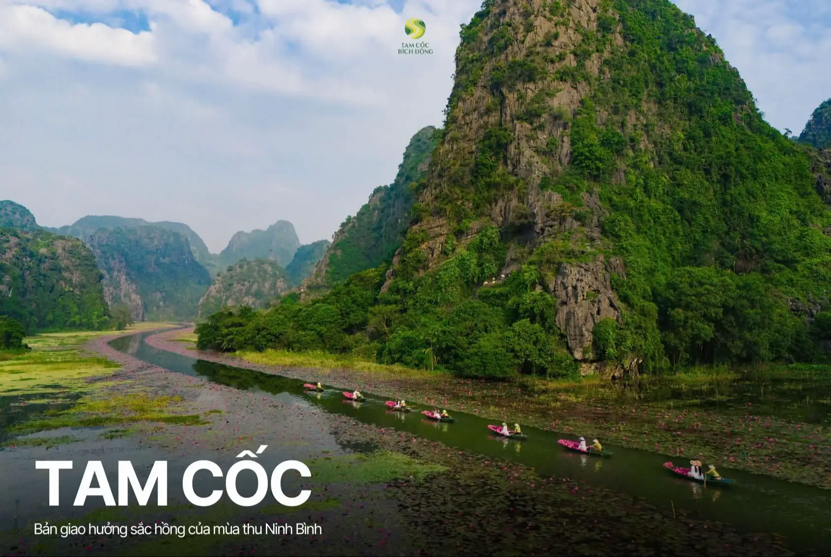 Giữa làn nước trong veo và những dải hoa súng nở rộ, Tam Cốc khoác lên mình gam hồng dịu nhẹ – như khúc nhạc êm đềm của đất trời đang ngân vang. Mỗi chuyến đò trôi là một nốt nhạc, mỗi bông hoa là một thanh âm, hòa quyện nên bản giao hưởng chỉ riêng mùa thu nơi này mới có thể cất lên. #tamcoc #ninhbinh #vietnam #muahoasung #DiSanVietNam