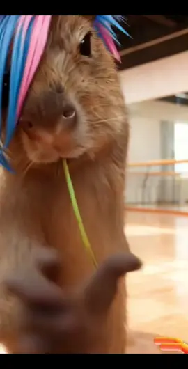 Động vật đáng yêu #xuhuong #animals #dance #petcute #funnyvideos 