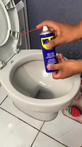 Apply WD 40 to your toilet and you'll be shocked! 😱🤯 #Home #Tips #LifeHack