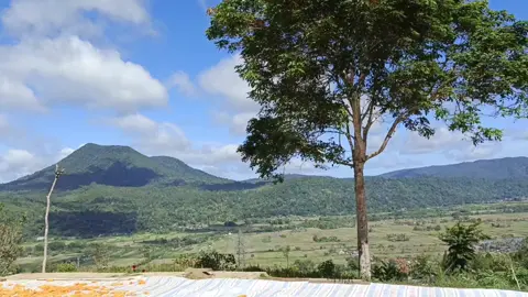 unang balokkon BH na bottar na hulehon i  #batak #rurasilindung 