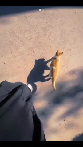 Akışına bıraktığım bu hayatın yokuşun da yoruldum...🫀🥀 #kesfet #kesfet #gecmisolsunturkiye #🇹🇷🇹🇷🤘🤘🇹🇷🇹🇷 