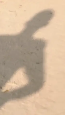 Emni🎀#CapCut #fyyyyyyyyyyyyyyyyyyyyyyyyyyyyyyyyyy #videochallenge #bangladesh_police🇧🇩👮 #mdabdulawl465 