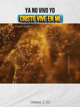 Sin cristo no tenemos esperanza, sin cristo no somos nada, sin cristo no hay salvación, Cristo es todo para nosotros. #cristianosunidos #cristianosporelmundo #reflexionescristianos #cristiano #GraciasDios 